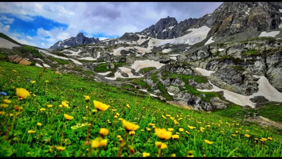 Srinagar Tour