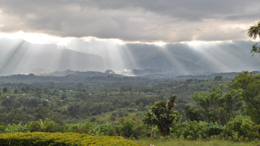 Mountain Rwenzori