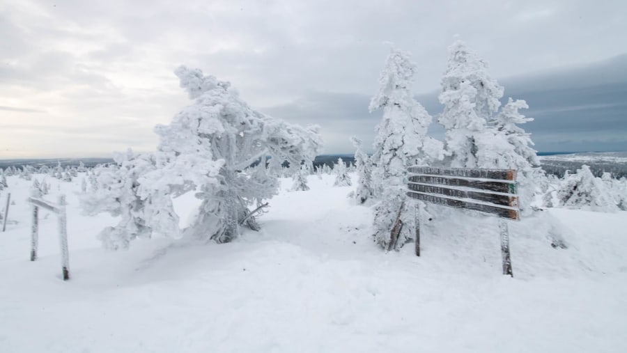 Riisitunturi National Park in winter