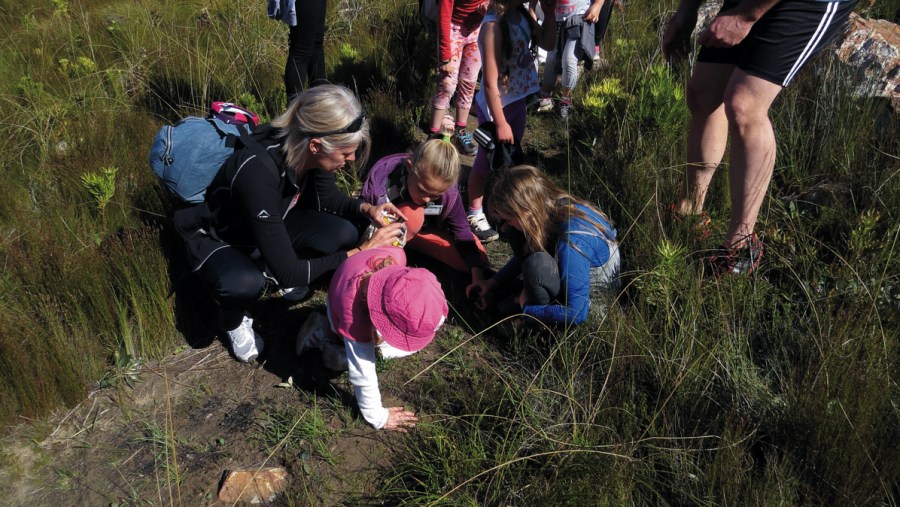 Youth Excursion In South Africa