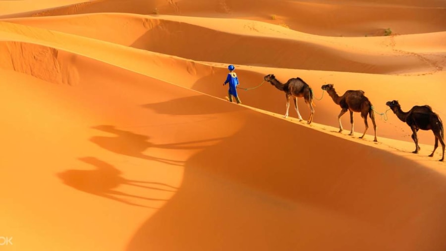 Travel in the Merzouga dunes, Marrakech