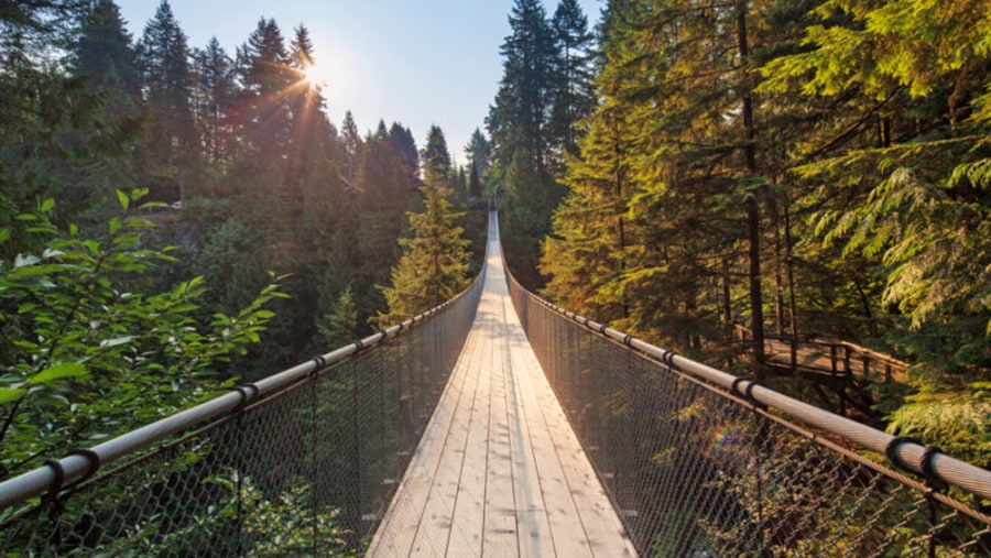 Capilano Suspension Bridge