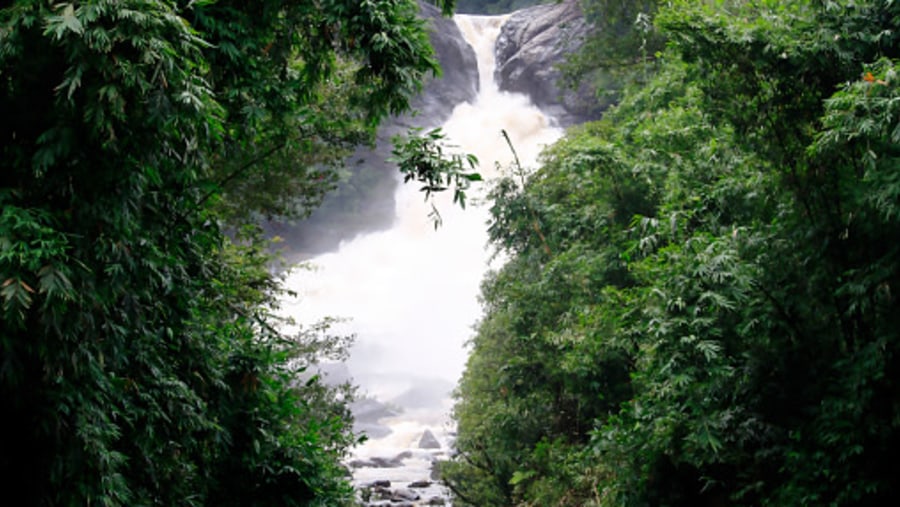 Bopath Ella Falls, Sri Lanka