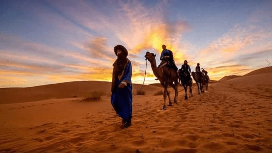 Experience a Camel Ride in the Merzouga Desert