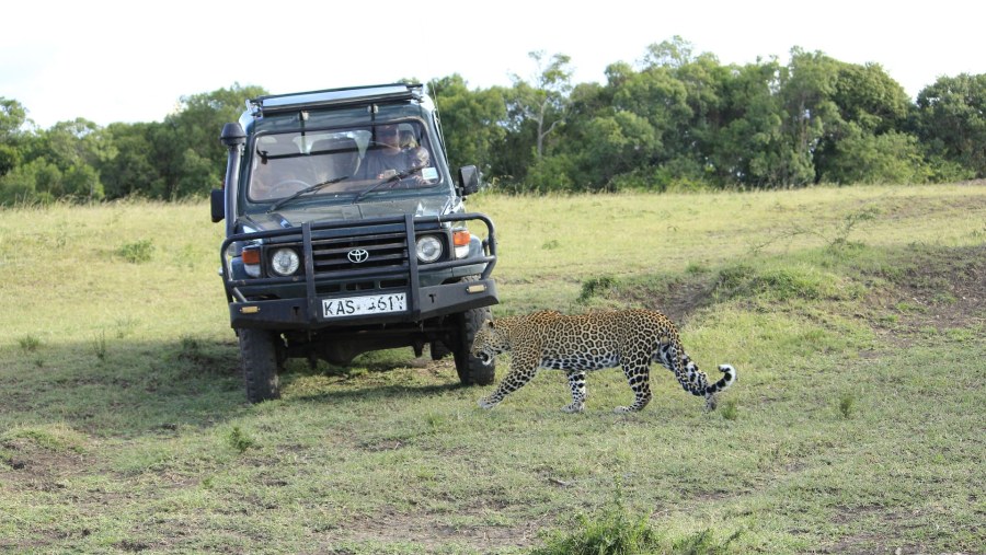 Come experience African wildlife at its heart