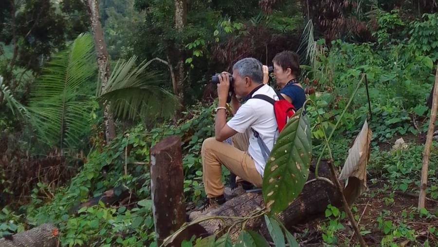 Travellers  in Indonesia