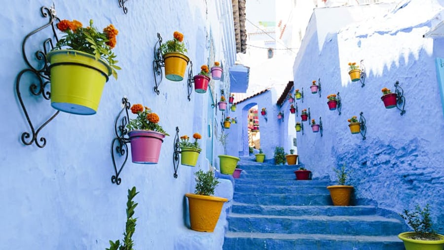 Chefchaouen Lanes & Steps