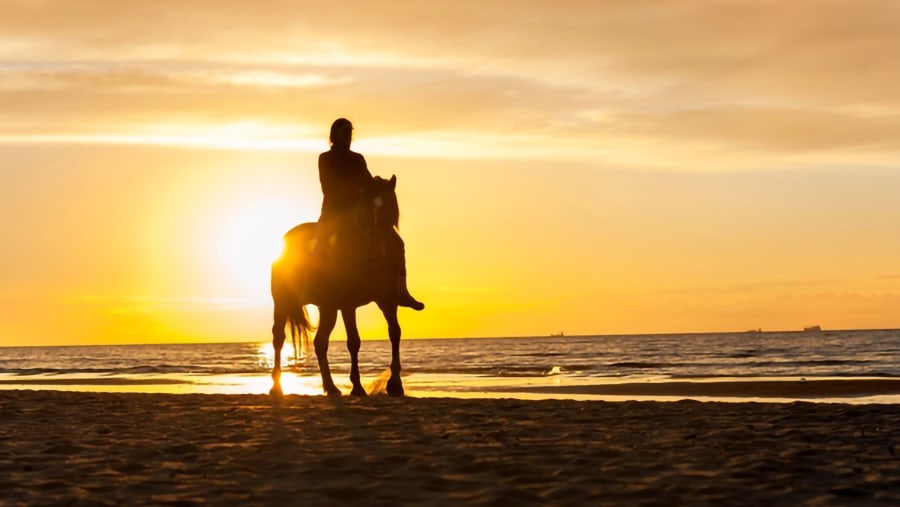Horseride on Migriño Beach