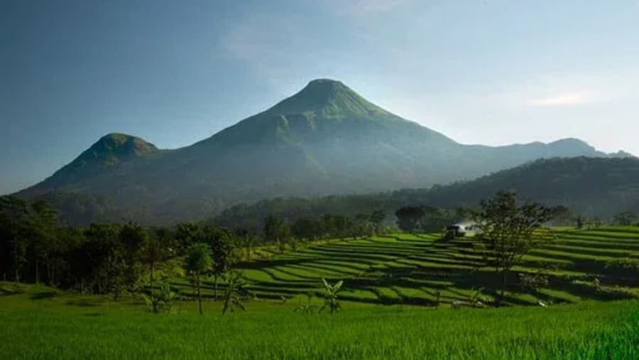 Rice Fields at Cara Village