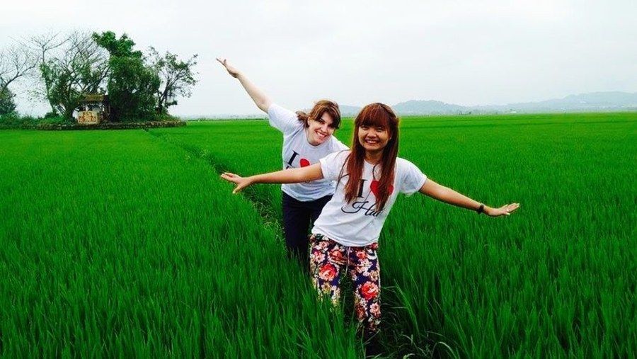 Thuy Chanh Rice Fields