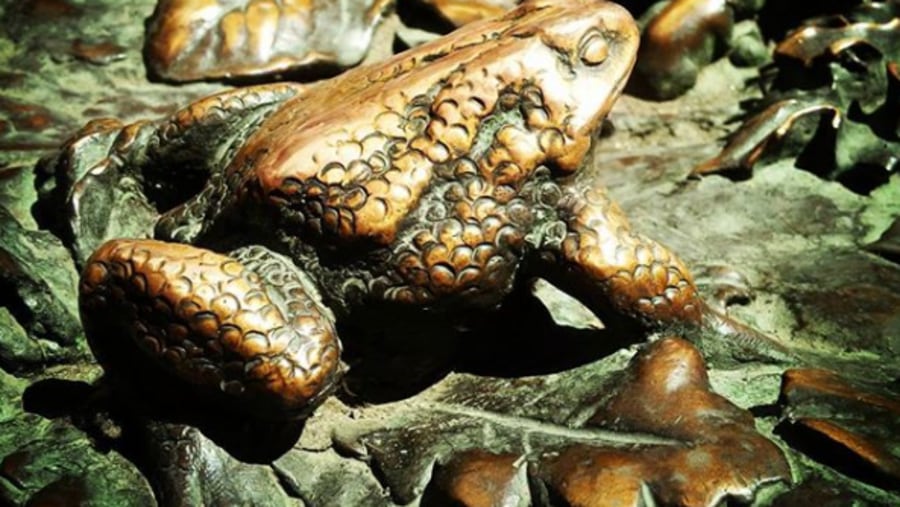 A famous frog sculpture in Florence