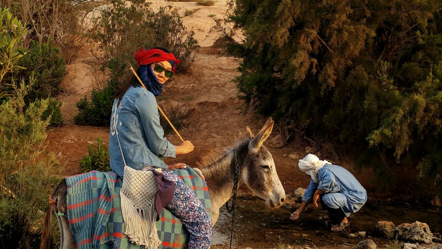Donkey Ride At Tafilalt, Morocco