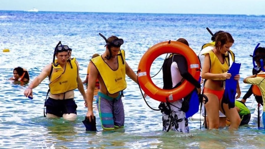 Go Snorkelling in Cozumel