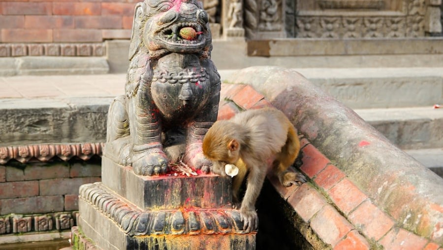 An idol in Pashupatinath temple