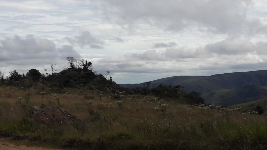 Serra da Calçada