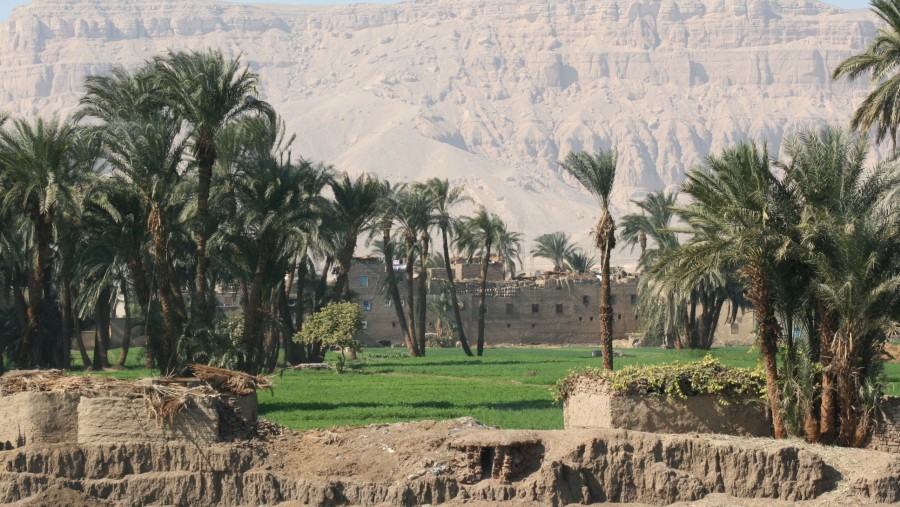 Landscape in Luxor