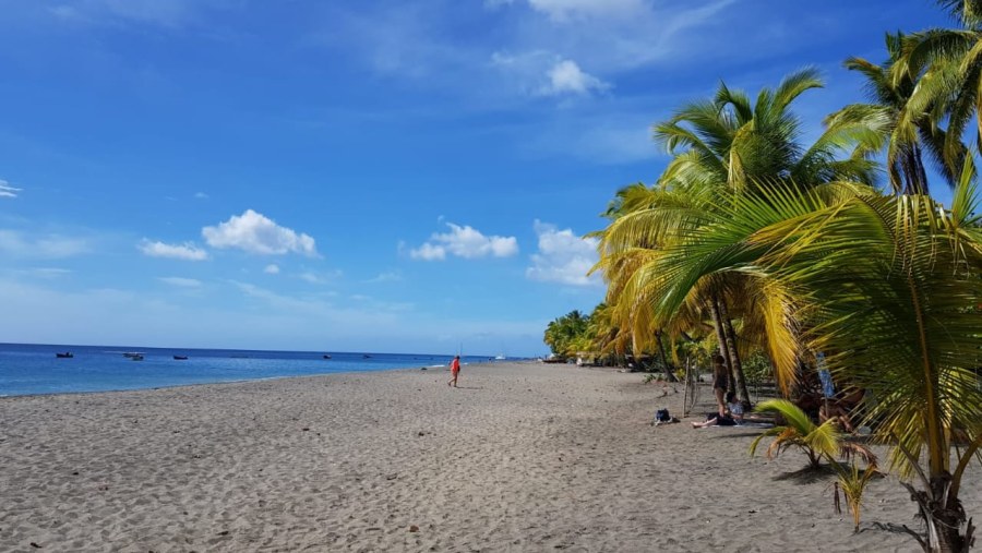 A sunny day at the beach