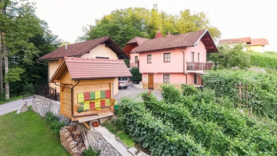 At the beekeeper and winegrower's house, Slovenian