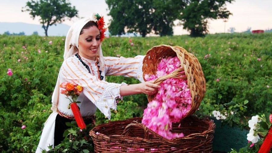 Flower picking 