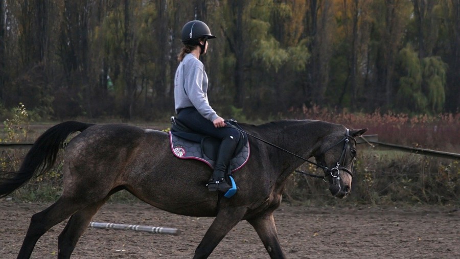 Horse Riding