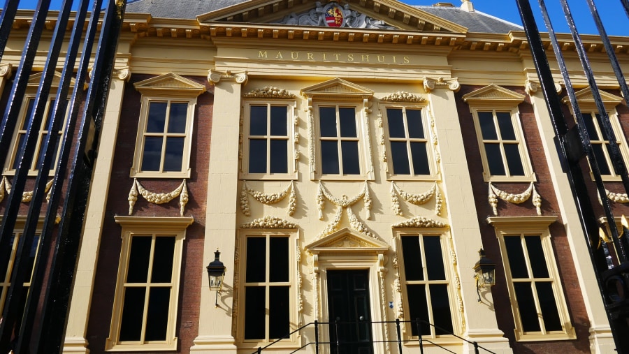 Visit the Mauritshuis Museum