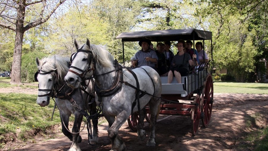 Carriage Ride in San Antonio de Areco