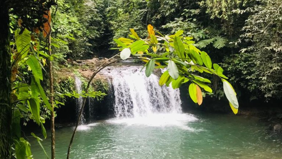 Cascada Los Helechos