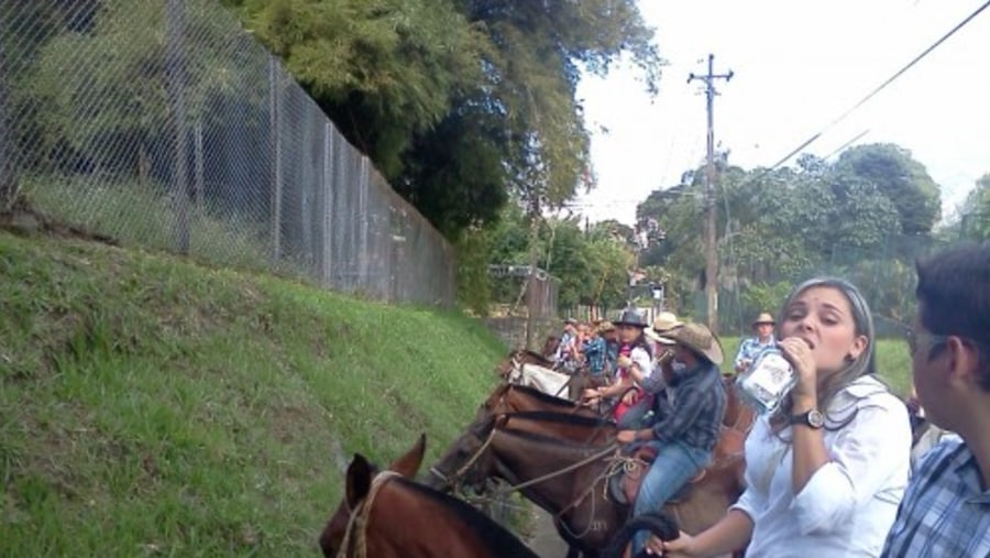 Horse Riding In Medellín, Colombia