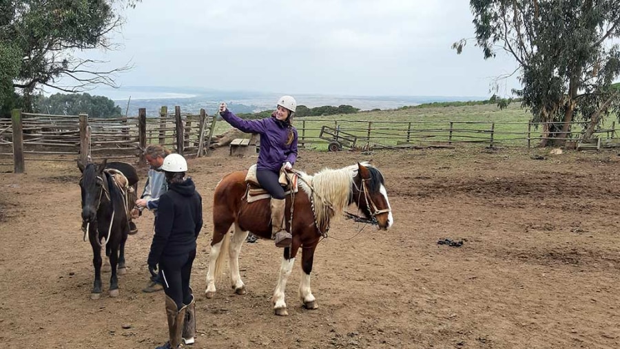 Horse Riding in Valpraiso