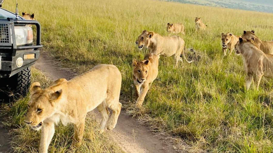 Maasai Mara National Reserve