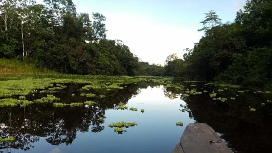 Yanayacu River