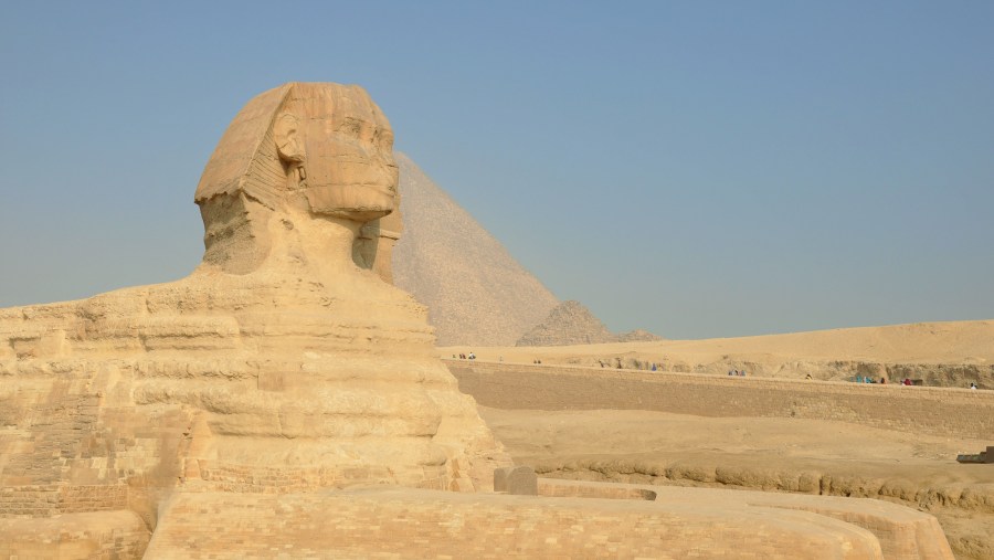 Meet the Sphinx