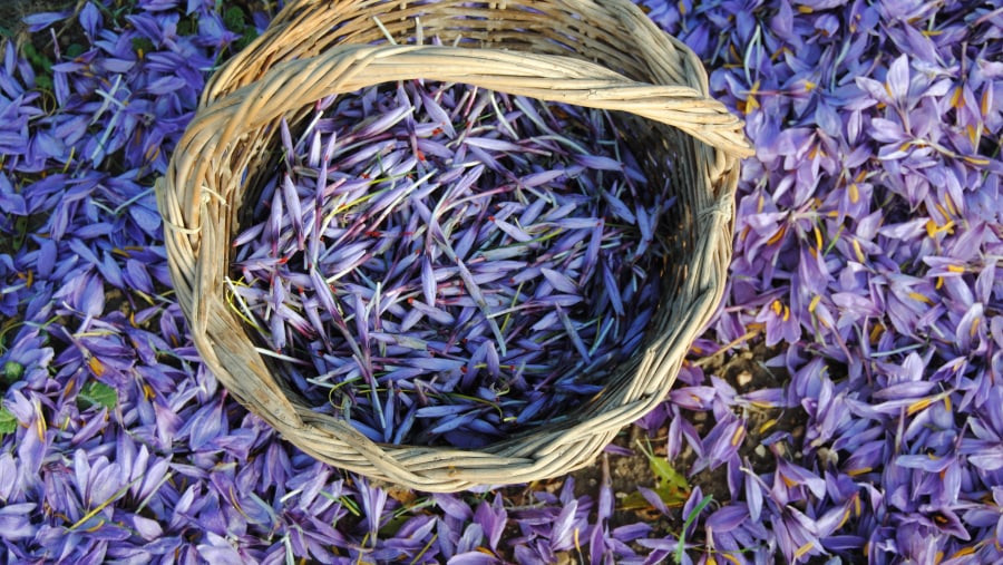 Saffron Basket