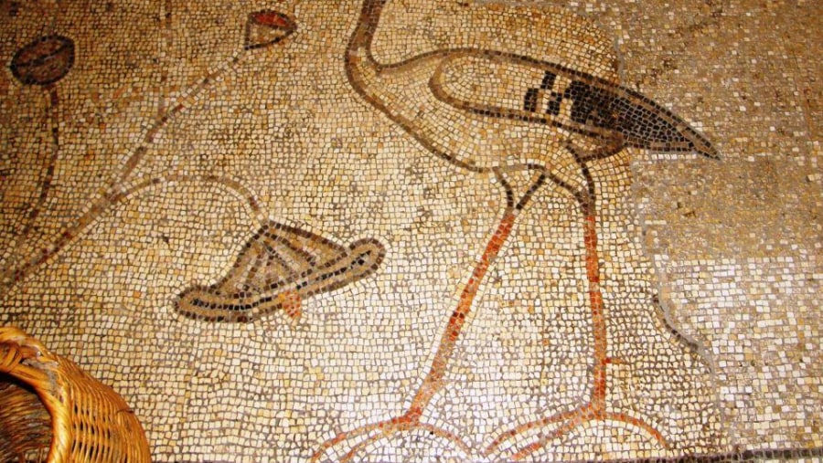 Ancient Mosaics