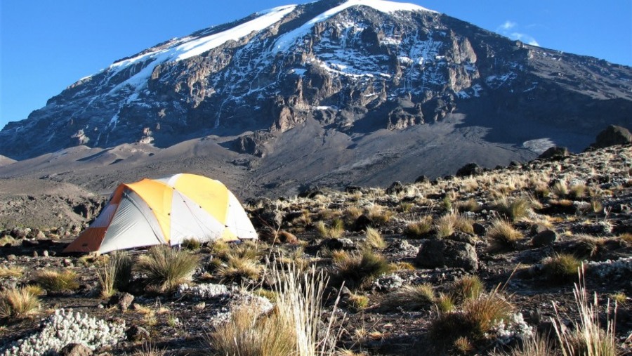 Kilimanjaro Hike