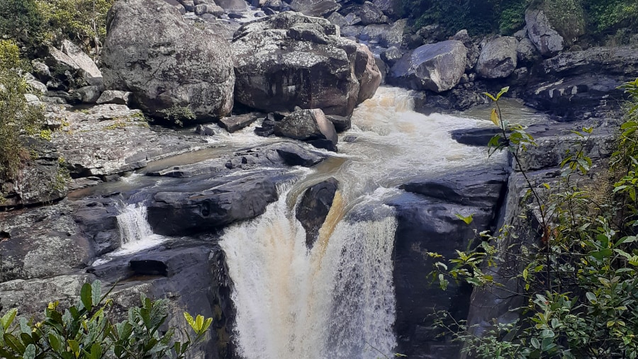 Ranomafana National Park