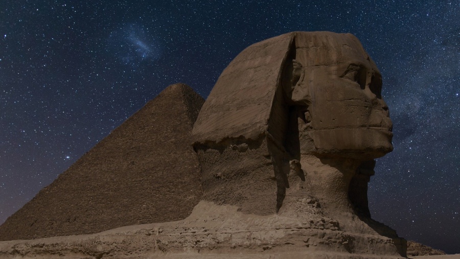 Admire the Great Sphinx