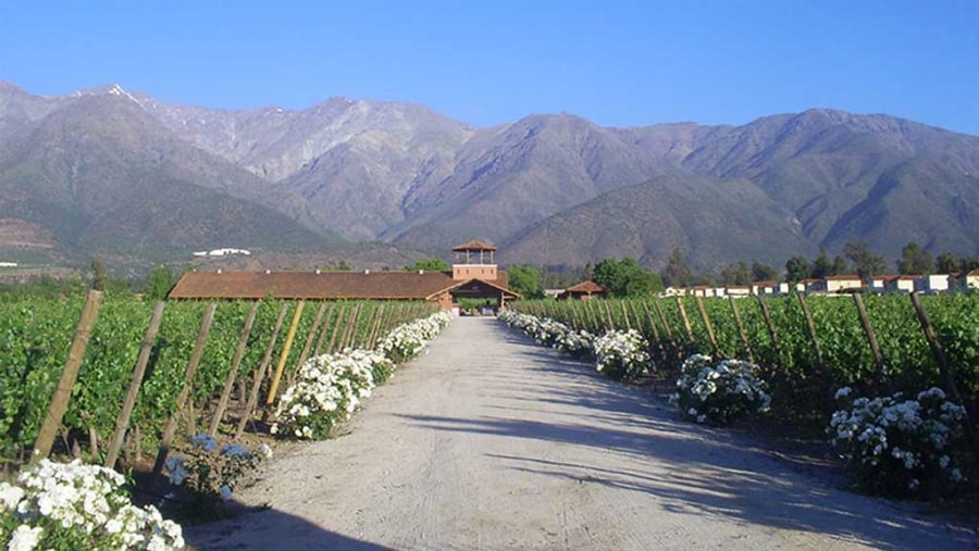 Wine tour in Chile