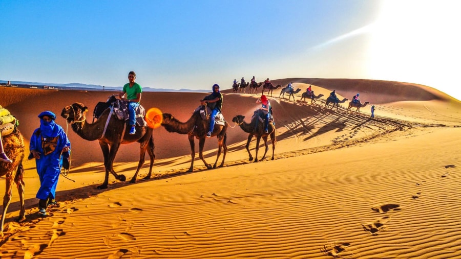 Camel Ride in Erg Chebbi Desert, Morocco