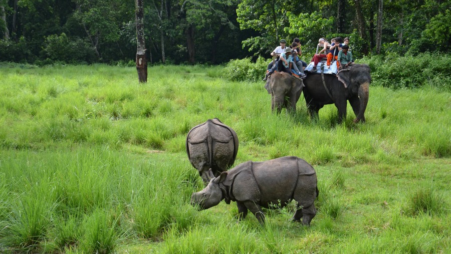 Chitwan National Park