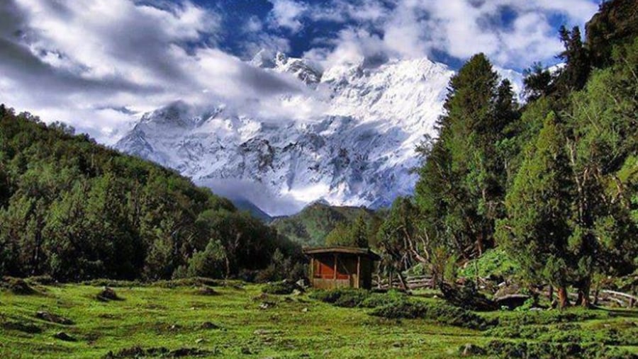 Fairy Meadows