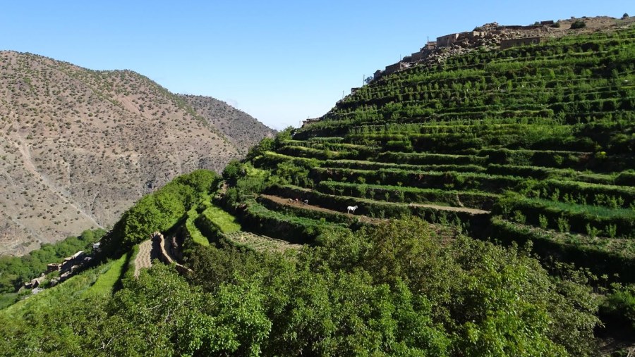 Terraced farmlands on Atlas Mountains