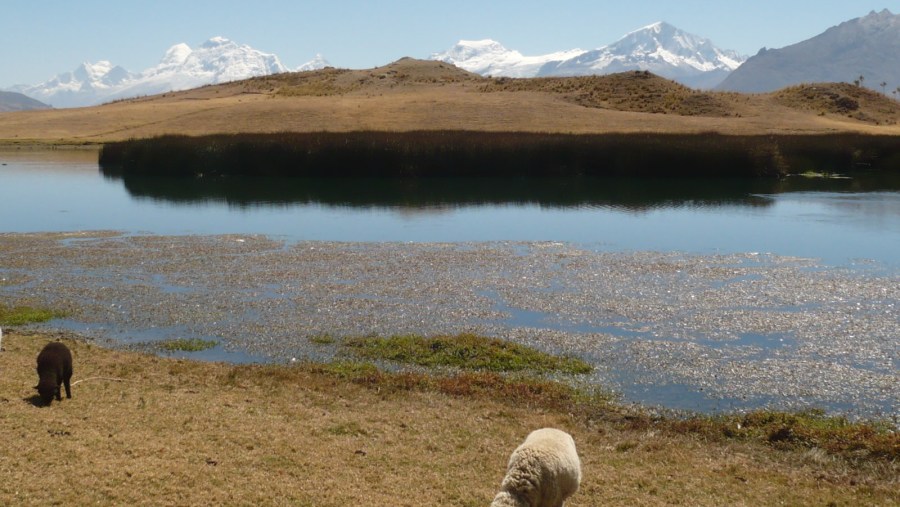 Relax at the Lake Willkaqucha after the trek in Peru