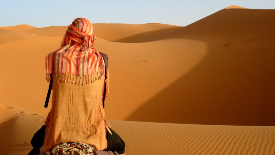 Traveller in the desert