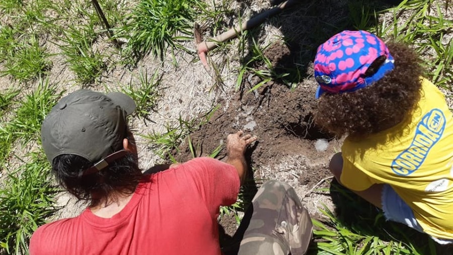 Volunteering in Niteroi