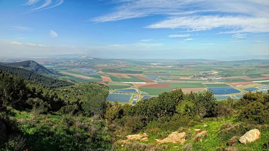 The Jezreel Valley, Israel