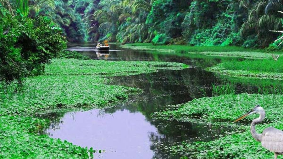 Parque Nacional Tortuguero