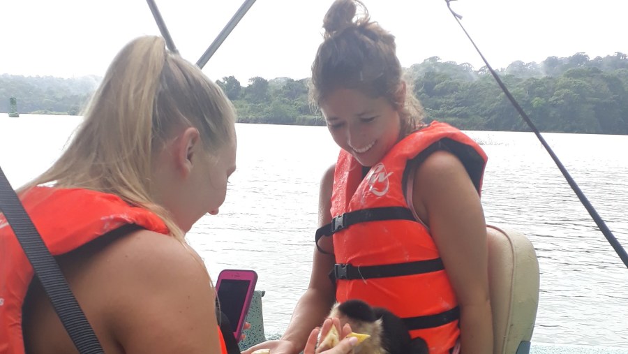 Feeding a Monkey in the Jungle