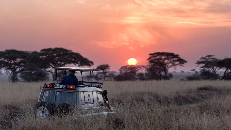 Explore Wildlife in Pop-up Jeep Safari