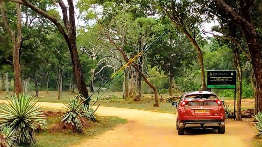 Enter the Udawalawe National Park